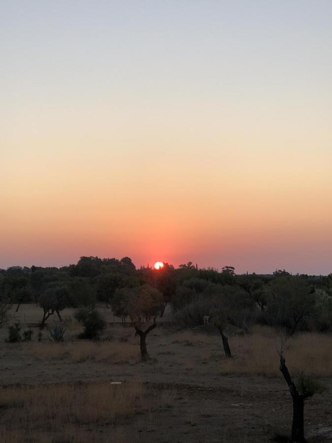 M4R Villa Petite Selva Selva  Kültér fotó